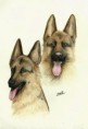 /album/dog-drawing/%e3%82%b7%e3%82%a7%e3%83%91%e3%83%bc%e3%83%89-jpg/